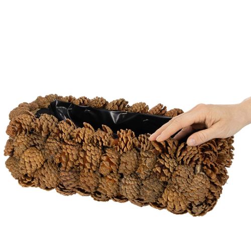 Caisse rectangulaire en pommes de pin pour plantation 40 cm | Floristik24.fr