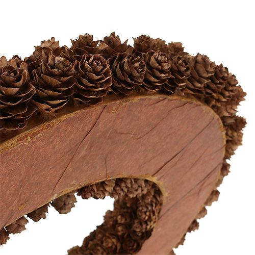 Floristik24 Couronne de cône Ø31cm Marron