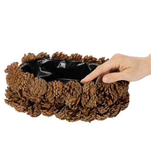 Pflanzschale en pommes de pin ovales 30cm nature | Floristik24.fr