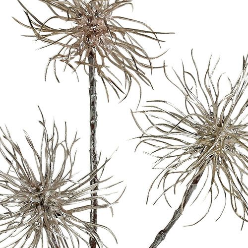 Article Branche d&#39;hamamélis champagne 45cm 3 pcs