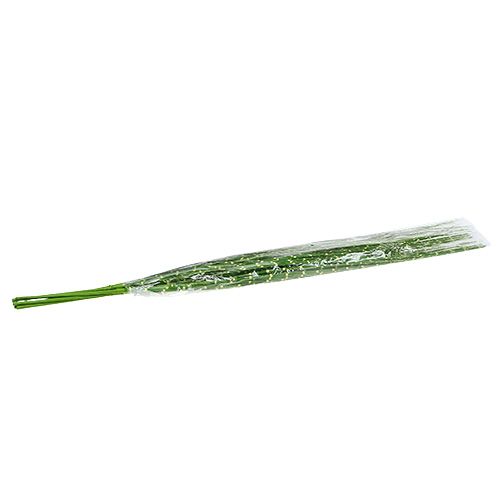 Floristik24 Herbe zébrée verte H82cm 6pcs