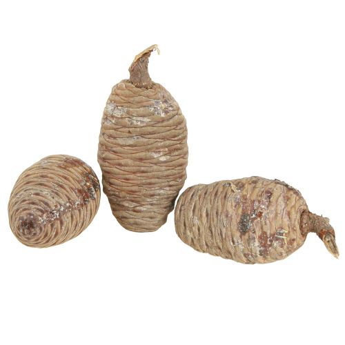 Article Cônes de cèdre cèdre décoratif naturel 9-10,5cm 3 pcs
