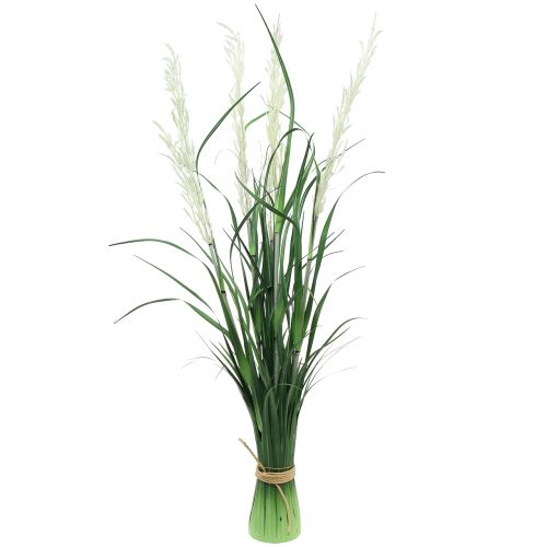 Floristik24 Herbe ornementale Herbe de la pampa à frondes vert / crème H107cm