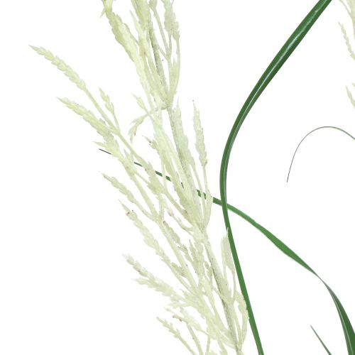 Floristik24 Herbe ornementale Herbe de la pampa à frondes vert / crème H107cm
