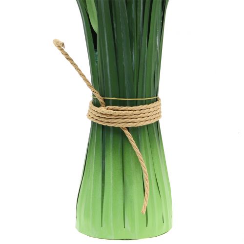 Floristik24 Herbe ornementale Herbe de la pampa à frondes vert / crème H107cm