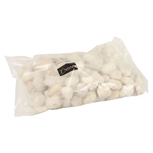 Article Pierres décoratives galets de rivière pierres décoratives blanches 2cm - 5,5cm 5kg