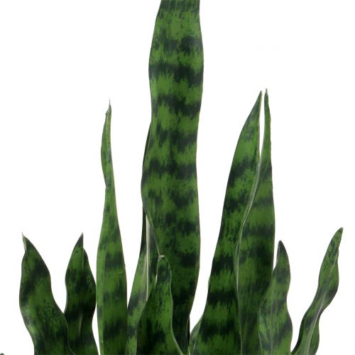 Floristik24 Sansevieria artificielle dans un pot H90cm