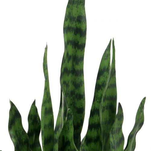 Article Sansevieria artificielle dans un pot H90cm