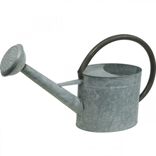 Floristik24 Arrosoir Métal Déco Jardin Vintage Gris Argent L53cm H29cm