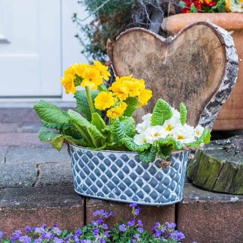 Floristik24 Bol en zinc diamant avec anses en corde ovale 32cm H15cm