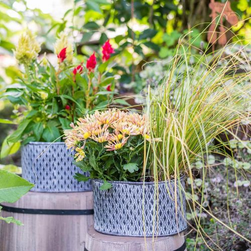 Floristik24 Pot en zinc avec motif losange ovale 23cm x 15cm / 21,5cm x 14cm 2pcs