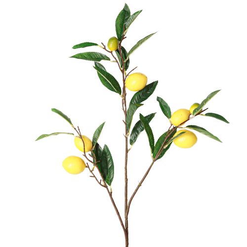 Floristik24 Branche de citron artificielle Branche de citron artificielle 91cm 2pcs
