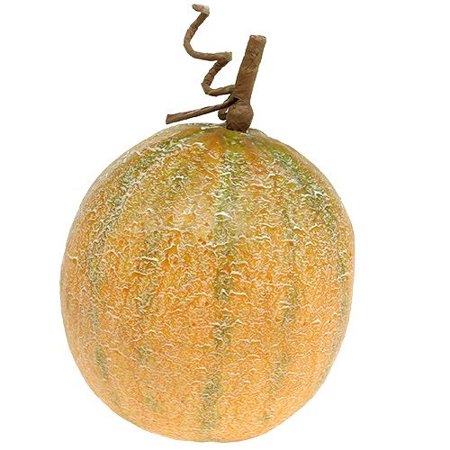Melon décoratif cantaloup Ø14cm