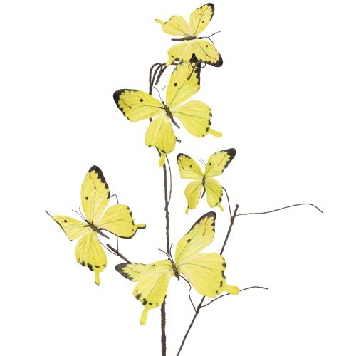 Floristik24 Branche papillon, décoration printanière artistique pour l'intérieur, 75 cm