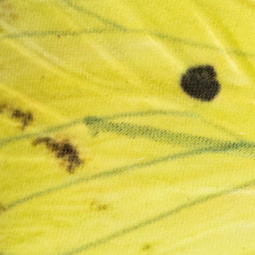 Article Branche papillon, décoration printanière artistique pour l'intérieur, 75 cm