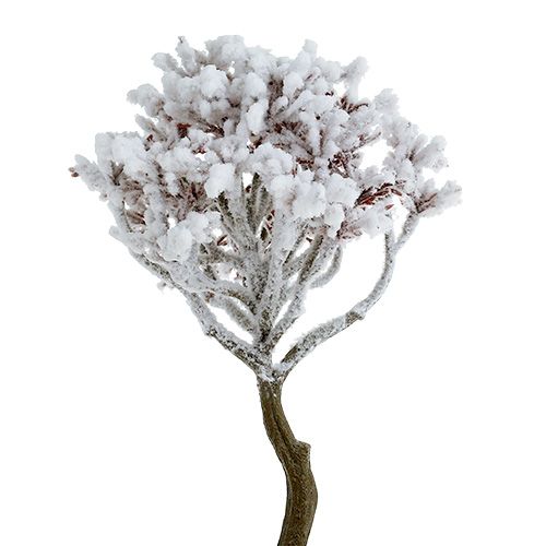 Floristik24 Branche avec de la neige 22cm 3pcs