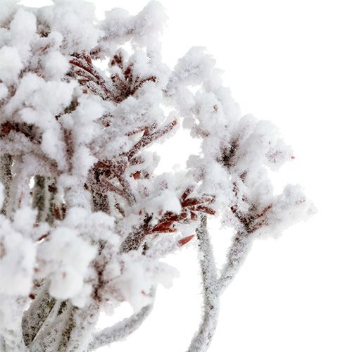 Floristik24 Branche avec de la neige 22cm 3pcs