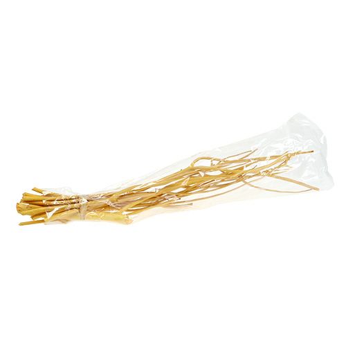 Floristik24 Branches décoratives Mitsumata jaune 45-60cm 12 pcs