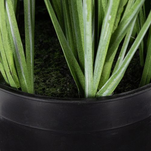 Article Plante décorative à fleurs délicates pour une décoration de chambre élégante 67 cm