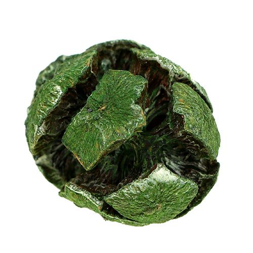 Floristik24 Cônes de cyprès 3cm verts 500g