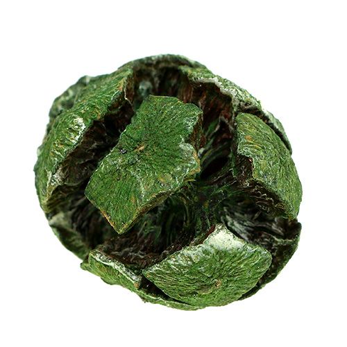 Floristik24 Cônes de cyprès 3cm vert 500g