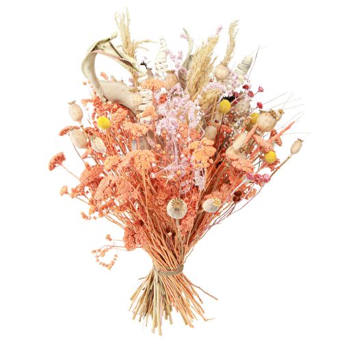 Article Achillée millefeuille fleurs des prés séchées saumon 40-50cm 80g