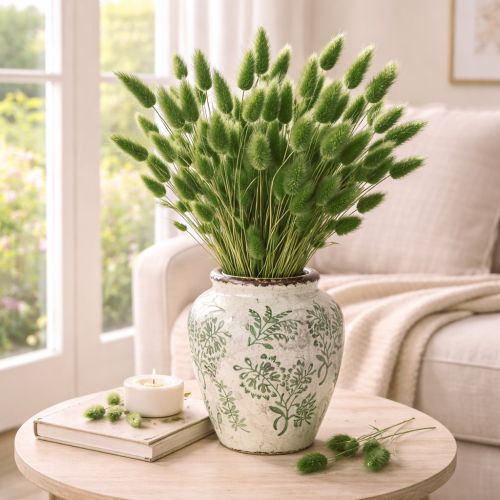 Article Lagurus séché (Queue de lièvre) 65-70 cm 100 g