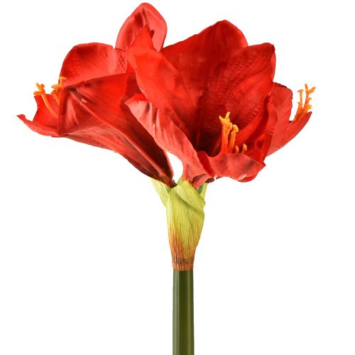 Article Amaryllis artificielles rouge vif - fleurs élégantes pour une décoration luxueuse de la pièce, 66 cm