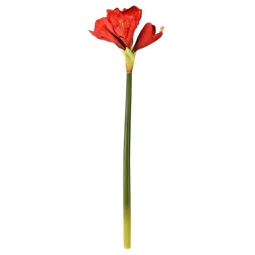 Article Amaryllis artificielles rouge vif - fleurs élégantes pour une décoration luxueuse de la pièce, 66 cm
