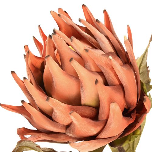 Article Artichaut fleur artificielle automne orange aspect sec Ø15cm 73cm