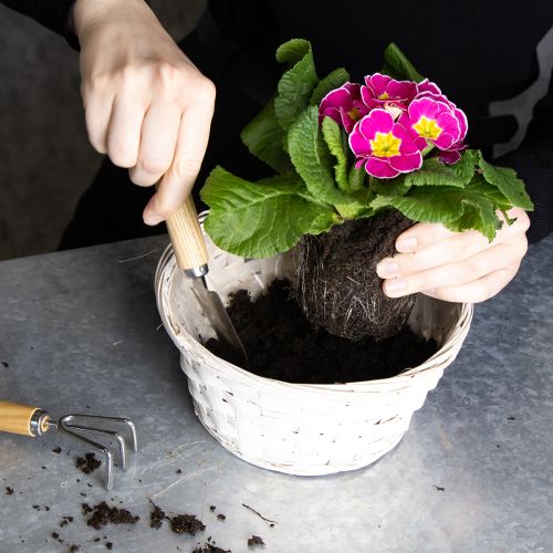 Article Panier décoratif en osier pour un design d'intérieur polyvalent, 20 cm, lot de 8