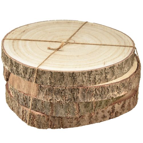 Floristik24 Disque d'arbre décoration en bois de Paulownia naturel Ø17-21cm 4 pcs
