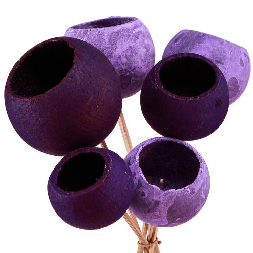 Floristik24 Bell Cup sur bâtonnet Décoration sèche Violet 44cm 15pcs
