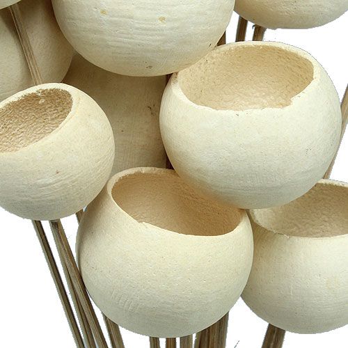 Floristik24 Bell Cup Mix sur bâtonnet blanchi 15 pcs