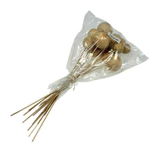 Article Bell Cup sur bâtonnet Déco exotique Nature 4-5,5cm 15 pcs