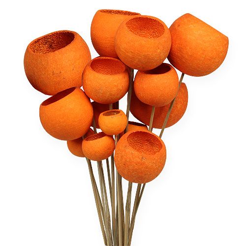 Bell Cup Mix sur bâton Orange 15pcs