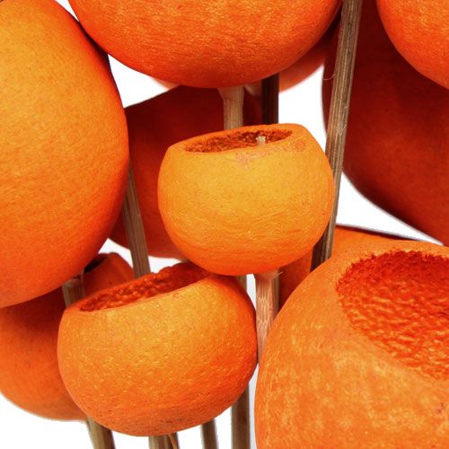 Floristik24 Bell Cup Mix sur bâtonnet orange 15 pcs
