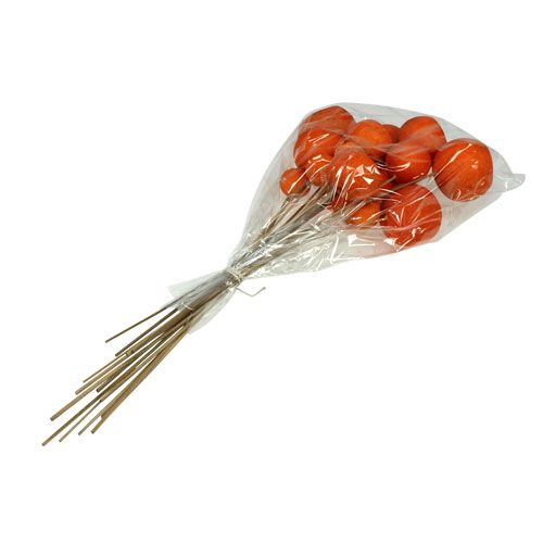 Floristik24 Bell Cup Mix sur bâtonnet Orange 15pcs