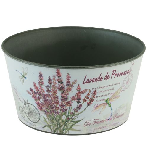 Floristik24 Jardinière lavande bol à fleurs en plastique rond Ø21cm H11cm