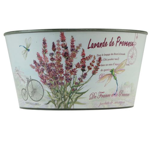 Article Jardinière lavande bol à fleurs en plastique rond Ø21cm H11cm