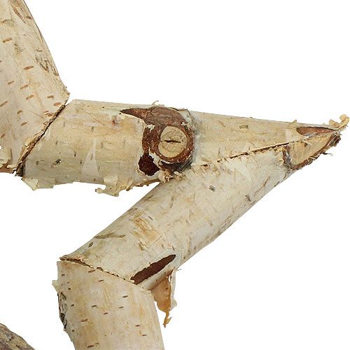 Floristik24 Etoile de bouleau à suspendre 22cm