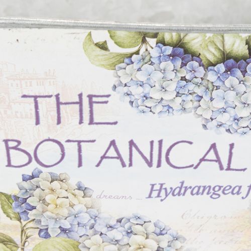 Article Coupe ovale en métal avec anses, pour hortensias, 32×15×15cm