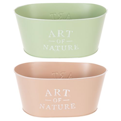 Coupe à fleurs ovale en zinc, 27 x 18 cm, H 12,5 cm, couleurs variées acheter | Floristik24.fr