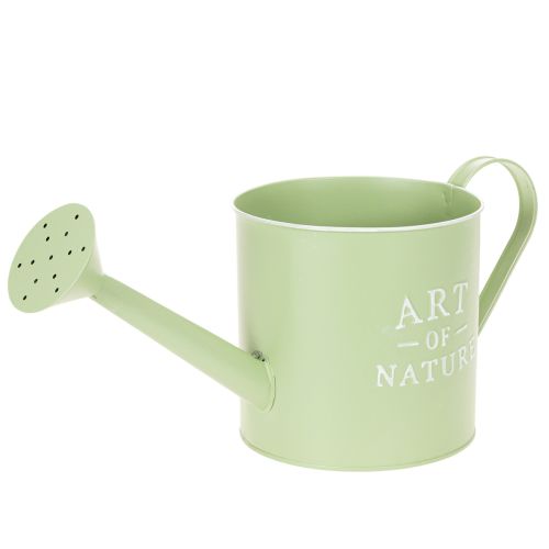 Pot de fleurs, arrosoir décoratif, jardinière en zinc vert menthe, Ø16,5 cm acheter | Floristik24.fr