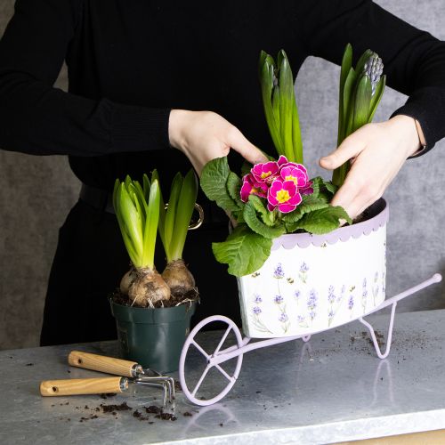 Article Brouette avec pot de fleurs au design lavande élégant, 46 cm