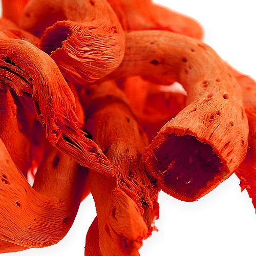 Floristik24 Cupy root in orange 350g