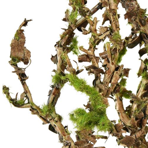 Article Branche décorative avec mousse artificielle décoration d&#39;automne gris vert L78cm