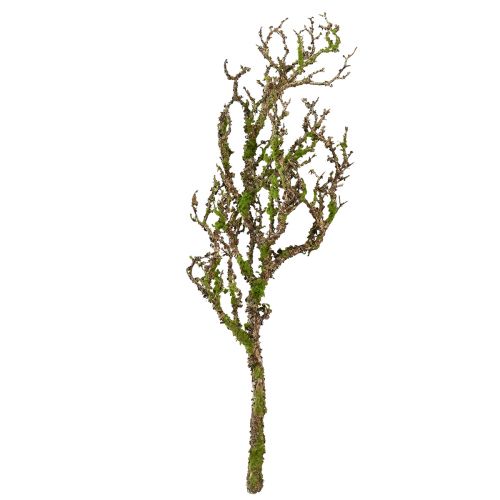 Article Branche décorative avec mousse artificielle décoration d&#39;automne gris vert L78cm