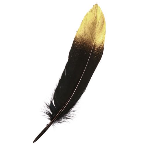 Plumes décoratives or noir véritables plumes d&#39;oie 15-20cm 50pcs