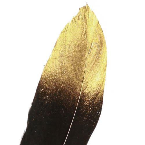 Article Plumes décoratives or noir véritables plumes d'oie 15-20cm 50pcs